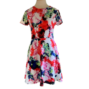 Milly for design Nation fit and flare size 8 floral dress